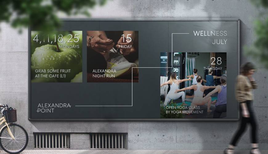 朝阳区包装设计公司如何进行品牌审核